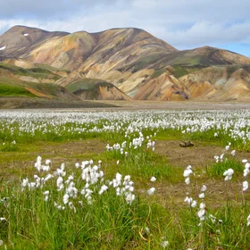 Laugavegur, Iceland