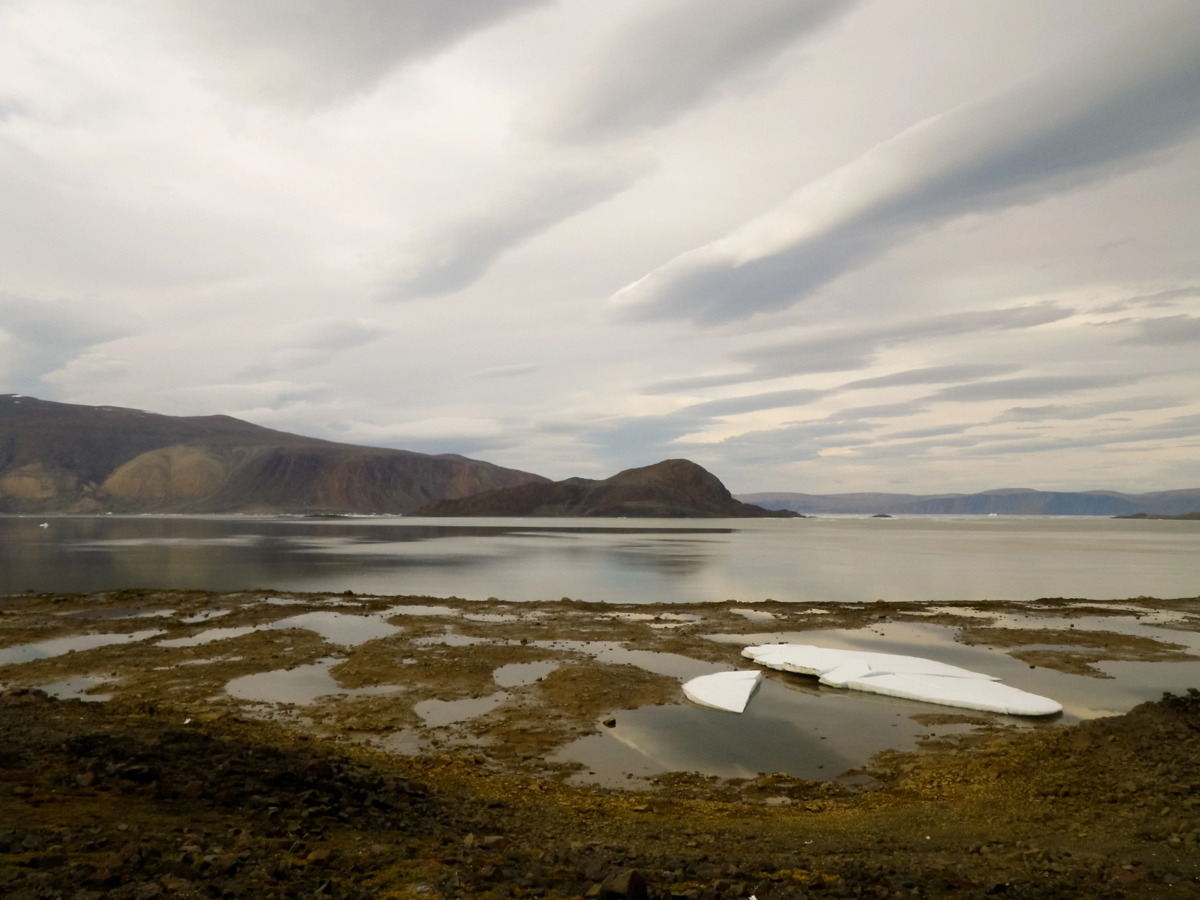 Low Tide at Alexandra Fjord