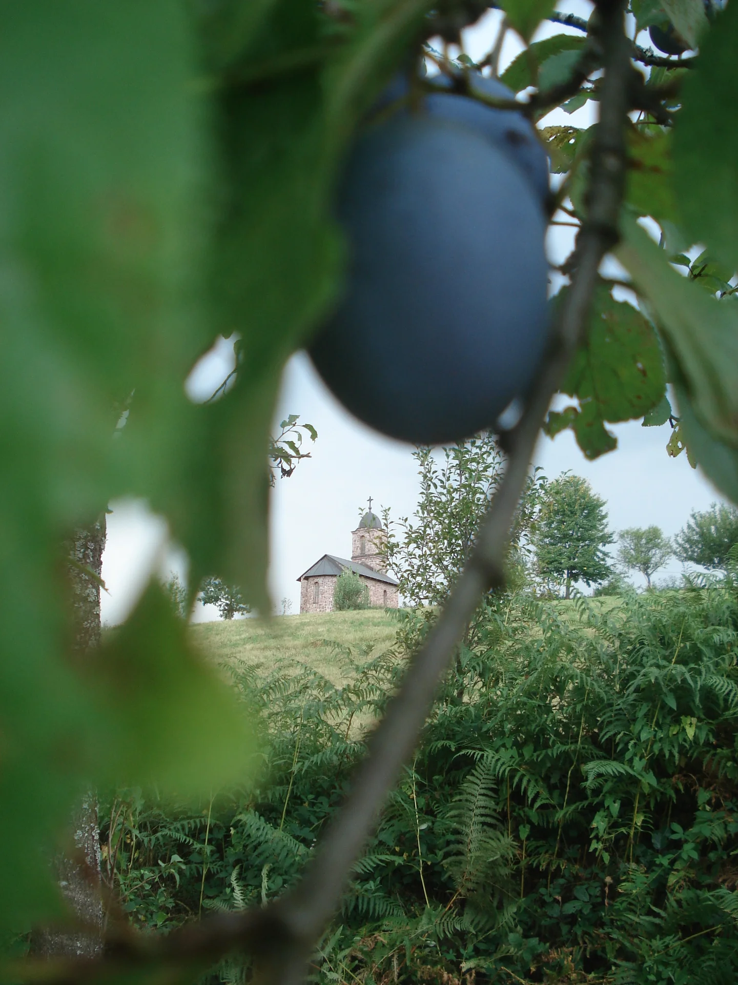 Agriculture and religion through history