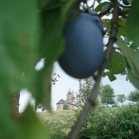 Agriculture and religion through history
