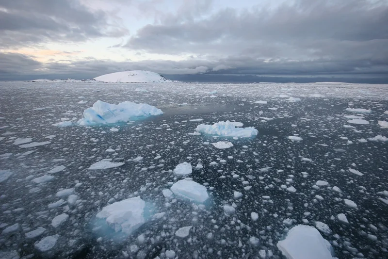 Antarctica