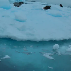 Beneath the iceberg 