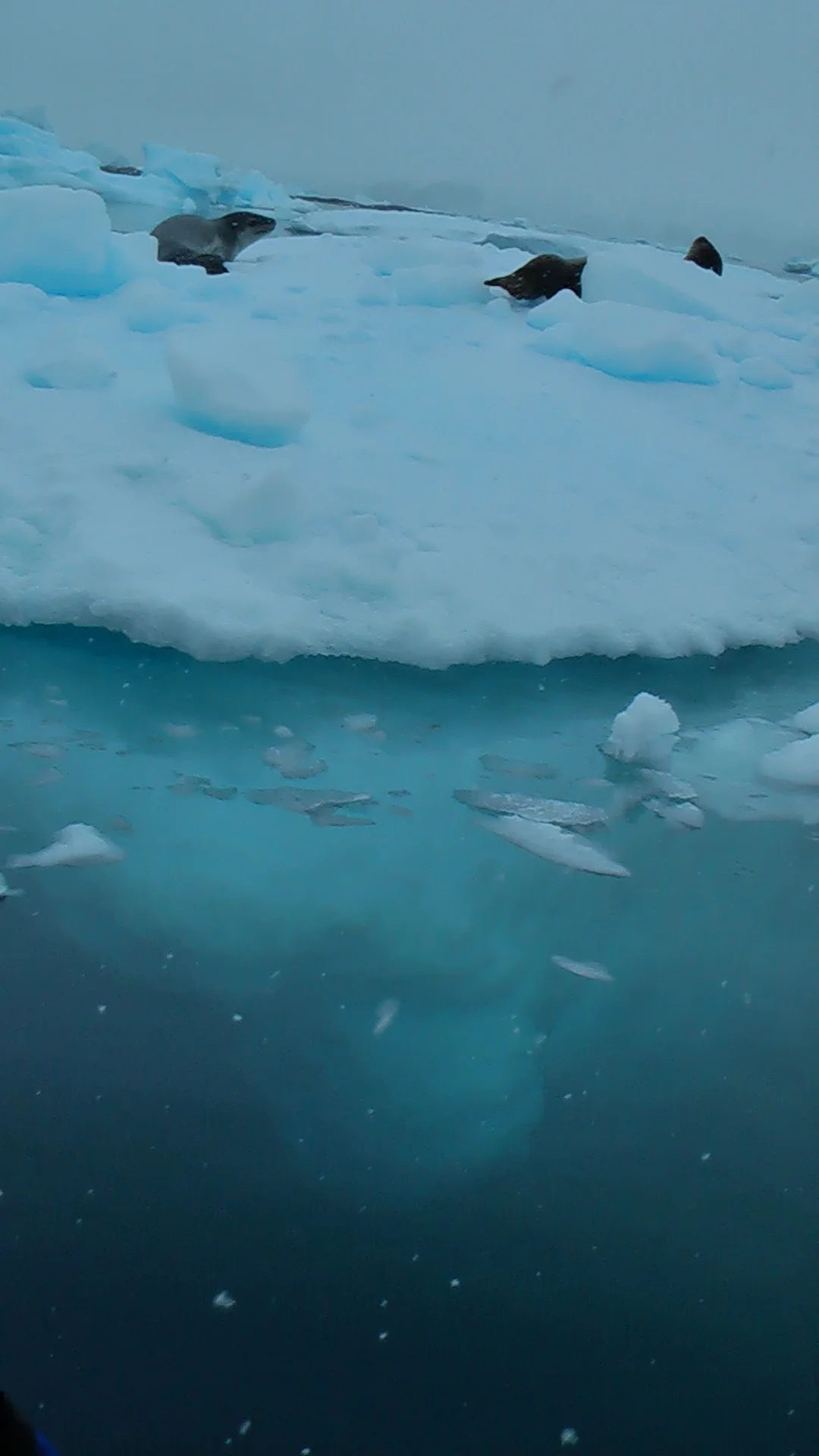 Beneath the iceberg 