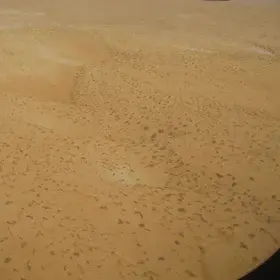 Flying over the Saharan Cauldron I