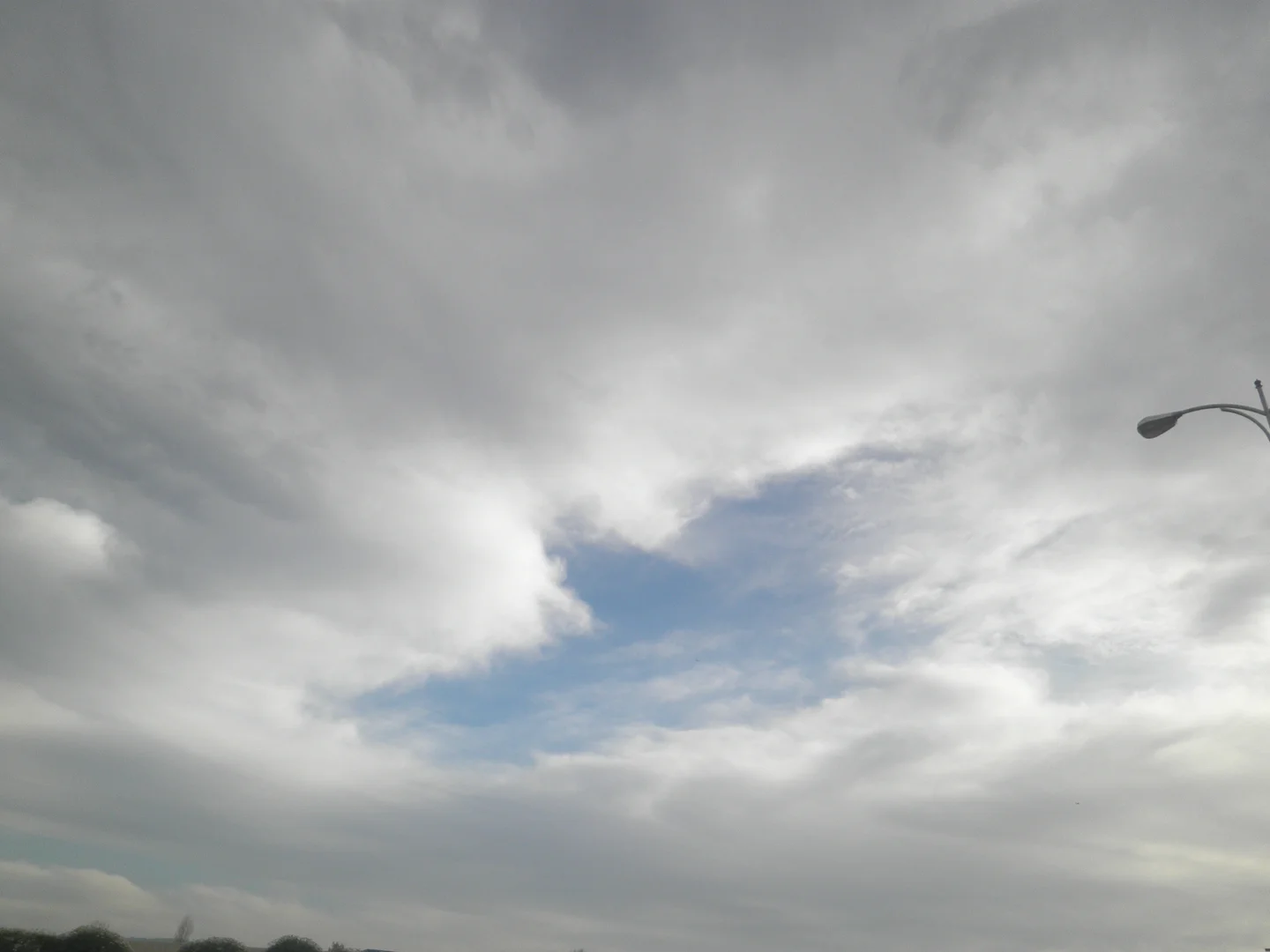 Eagle shape in Stratocumulus cloud