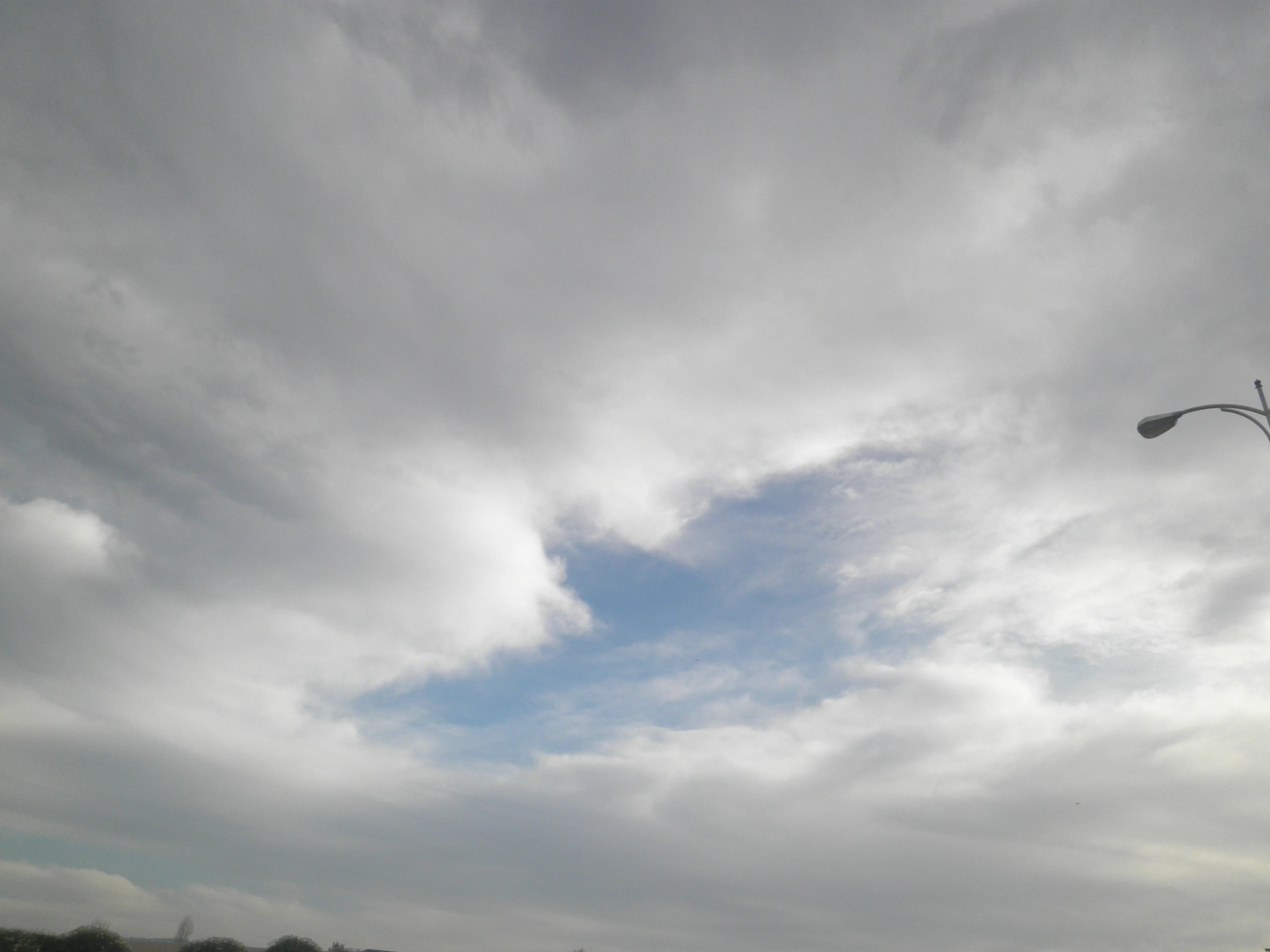 Eagle shape in Stratocumulus cloud