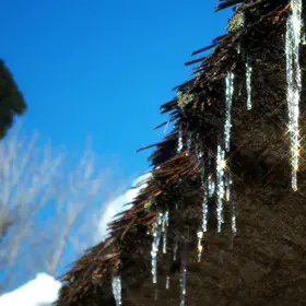 Brilliant Icicle