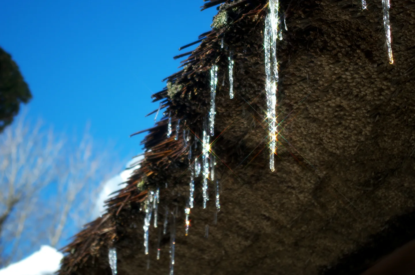 Brilliant Icicle