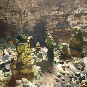 Underground Creatures