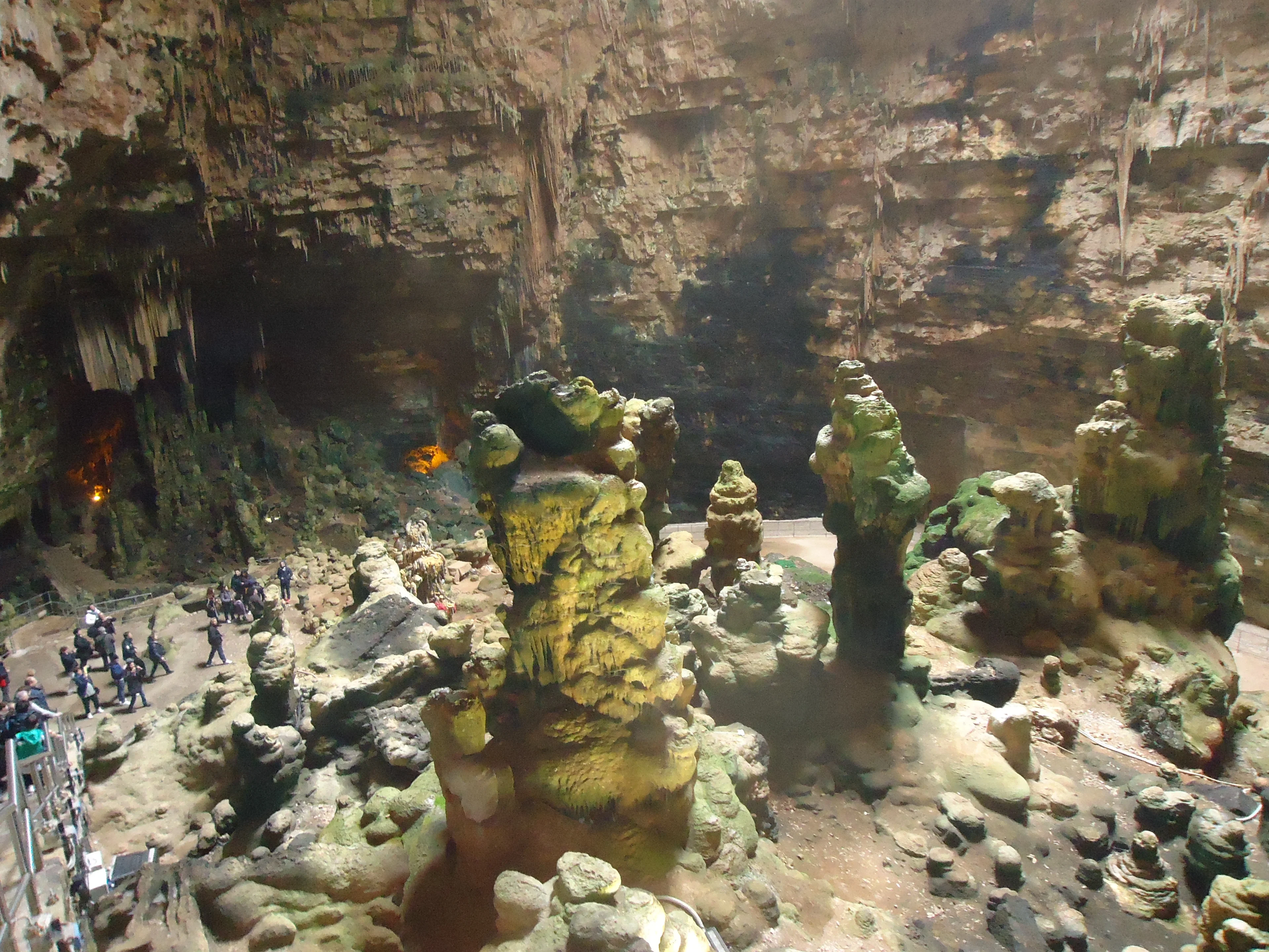 Underground Creatures