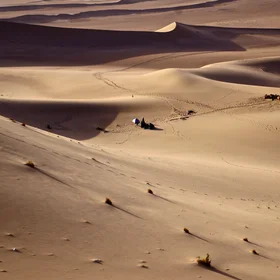 Desert life and landforms in the Gobi desert