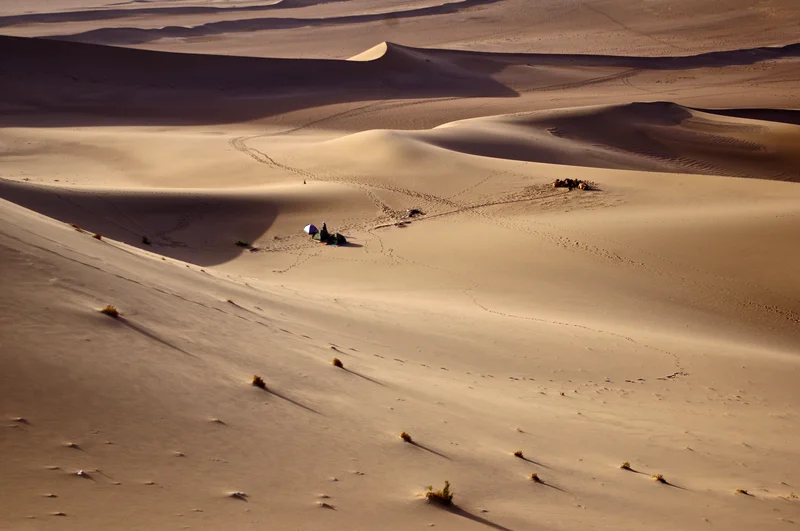 Desert life and landforms in the Gobi desert
