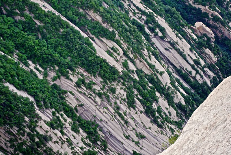 Vegetation patterns on bare granite at Huashan, China