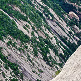 Vegetation patterns on bare granite at Huashan, China