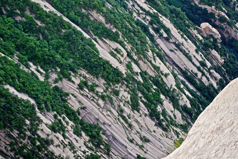 Vegetation patterns on bare granite at Huashan, China