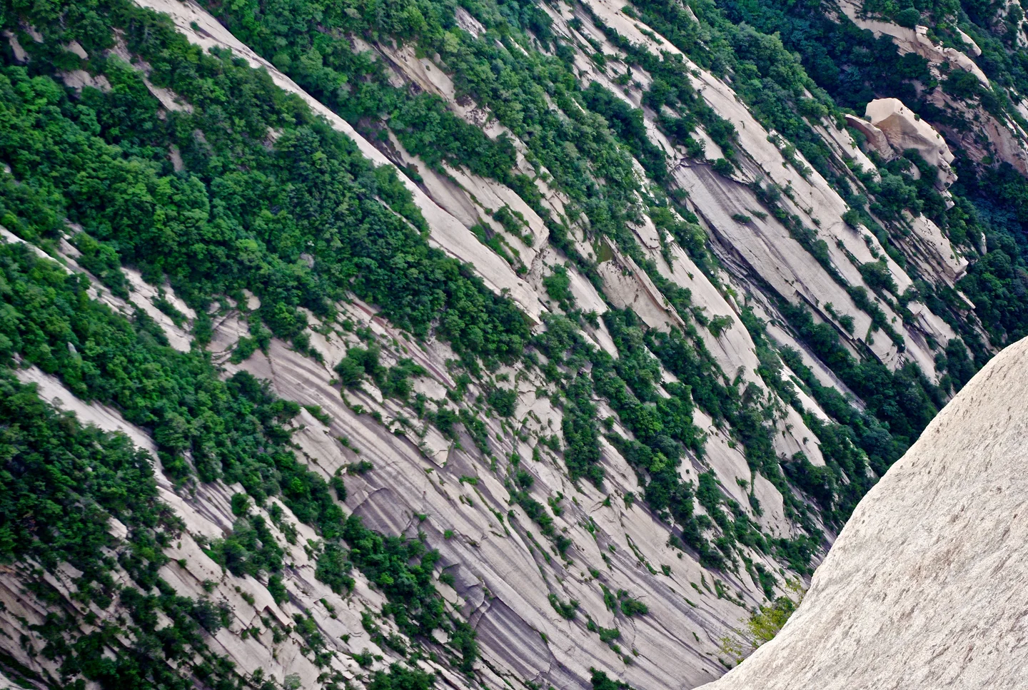 Vegetation patterns on bare granite at Huashan, China