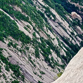 Vegetation patterns on bare granite at Huashan, China