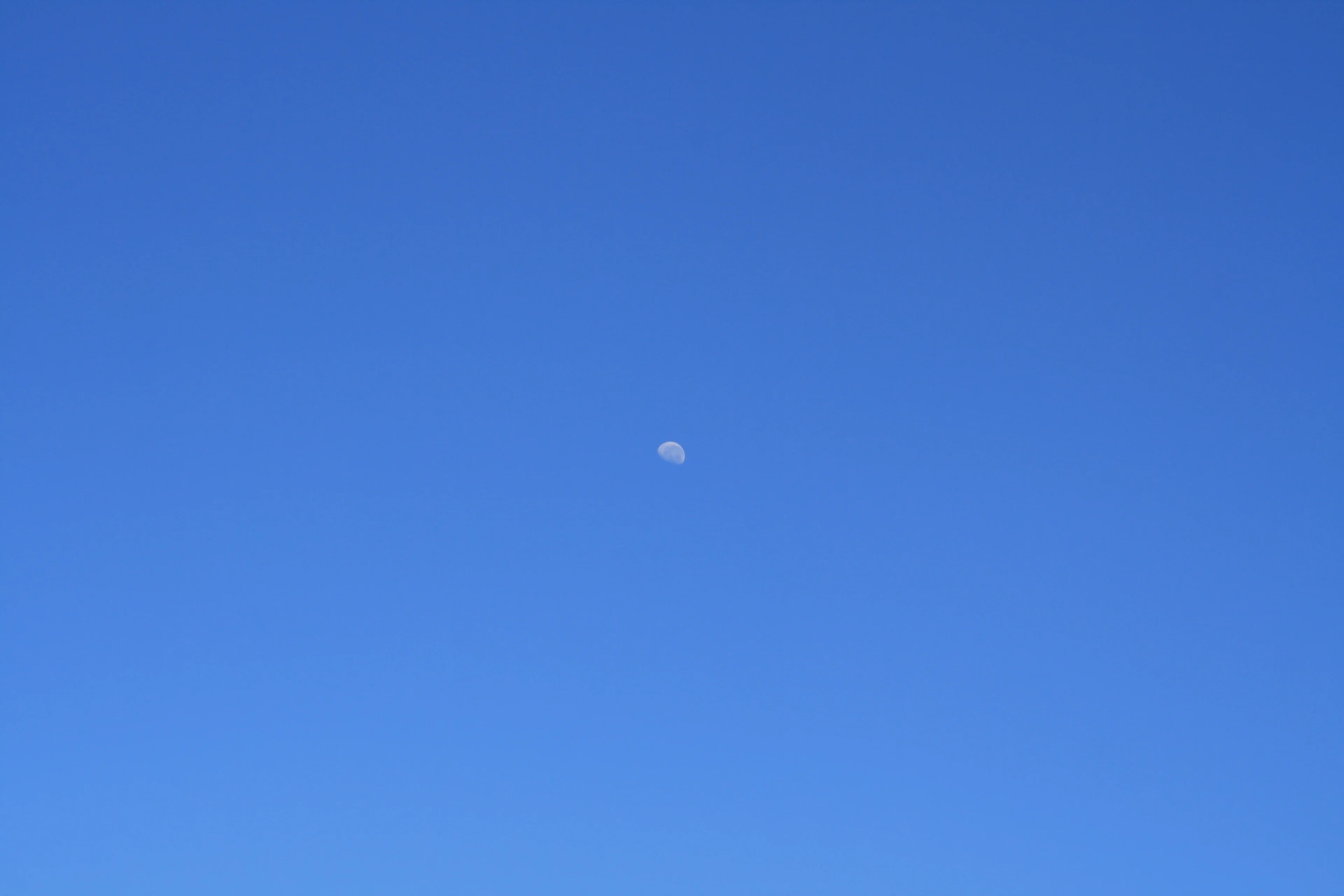 Half moon in blue sky