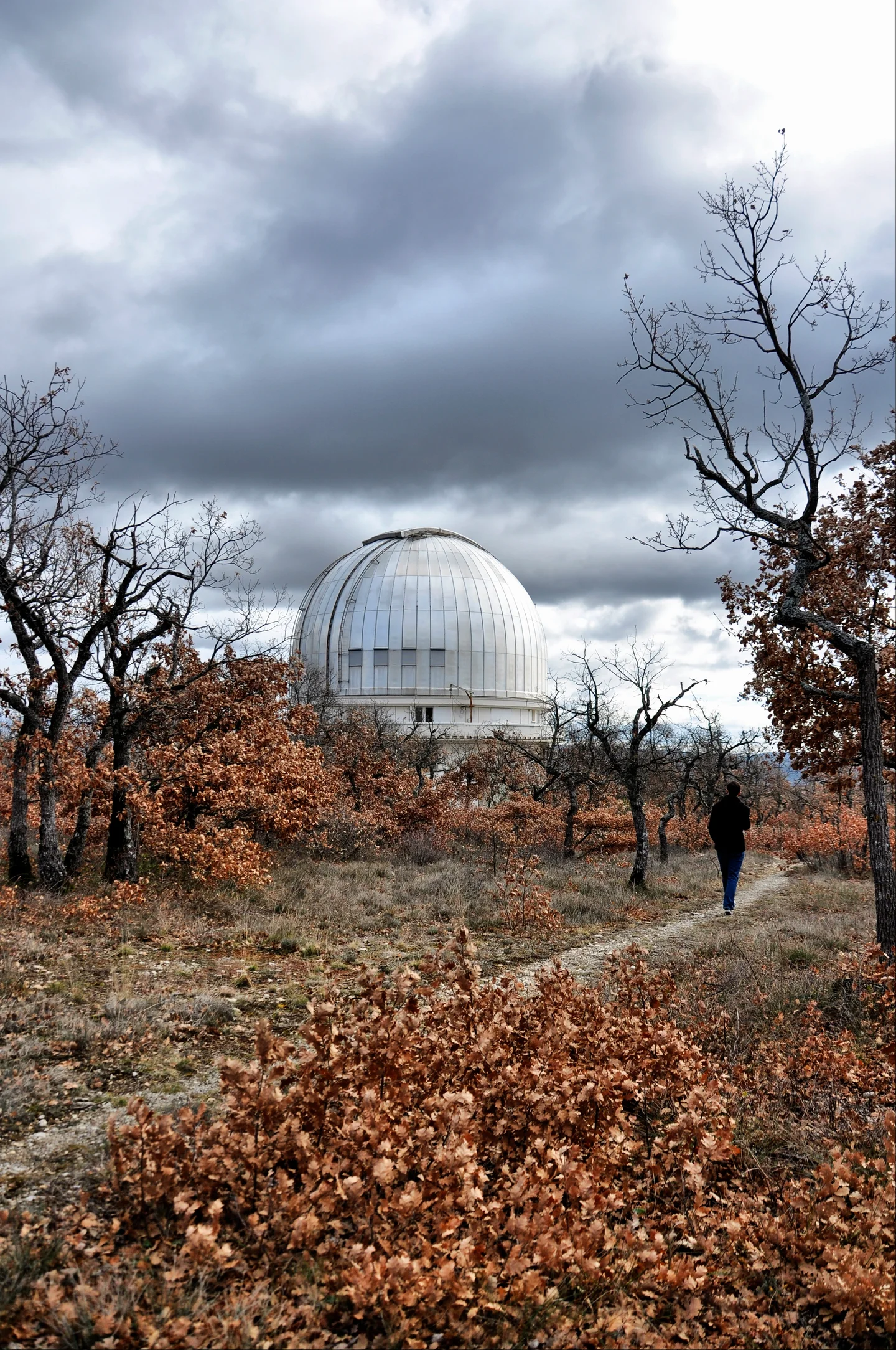 On the Way to the Telescope