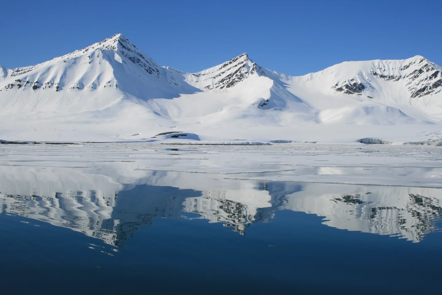 Icy Reflections