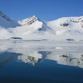 Icy Reflections