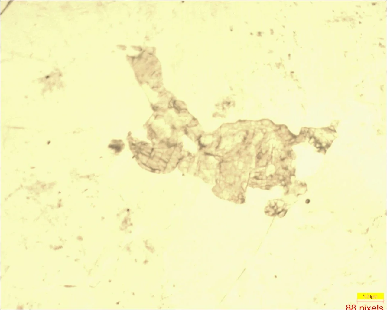 Plagioclases and pyroxens in a gabbro
