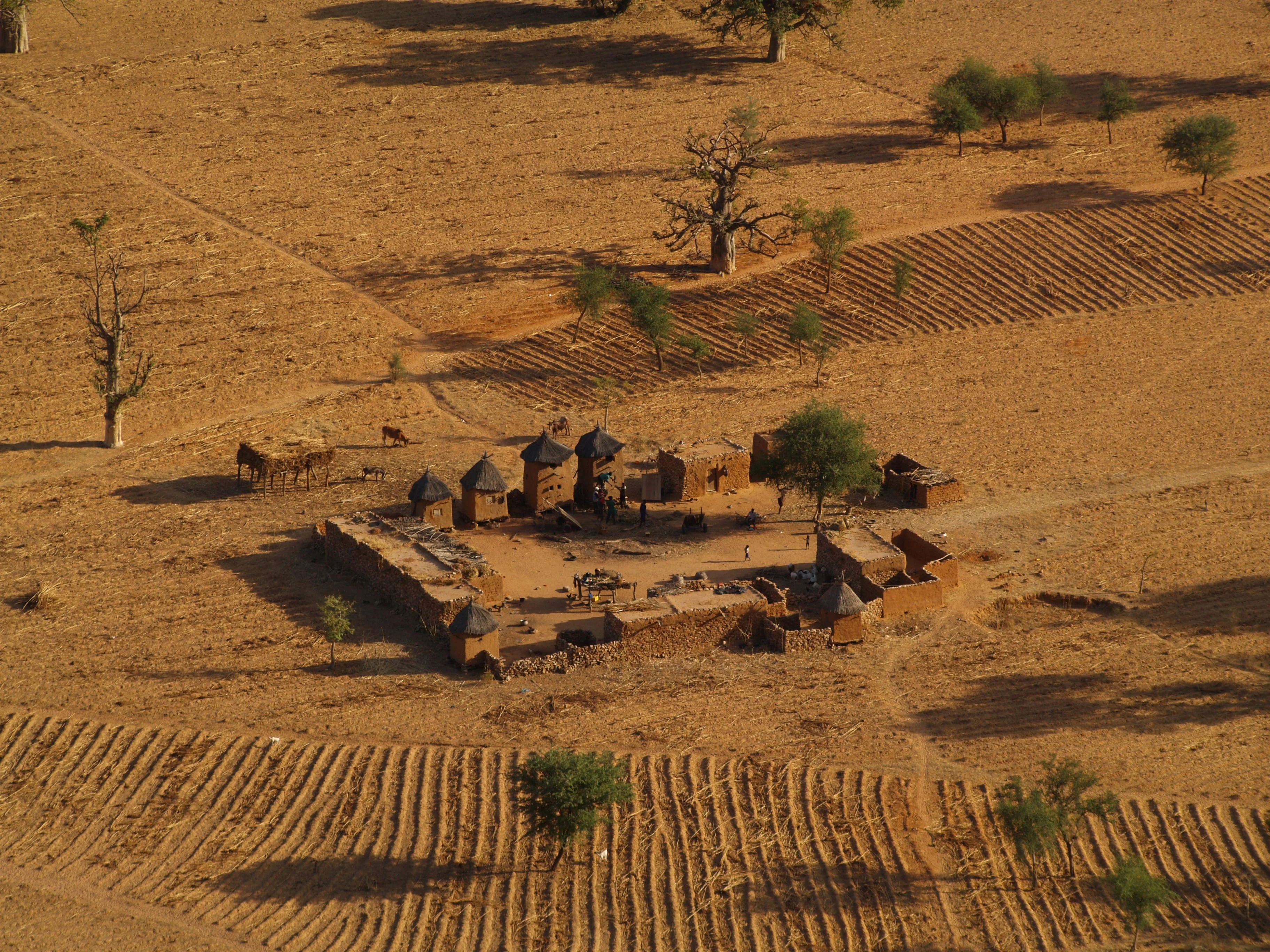 Zooming in community
