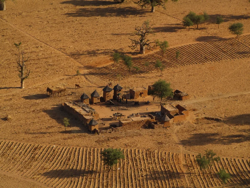 Zooming in community