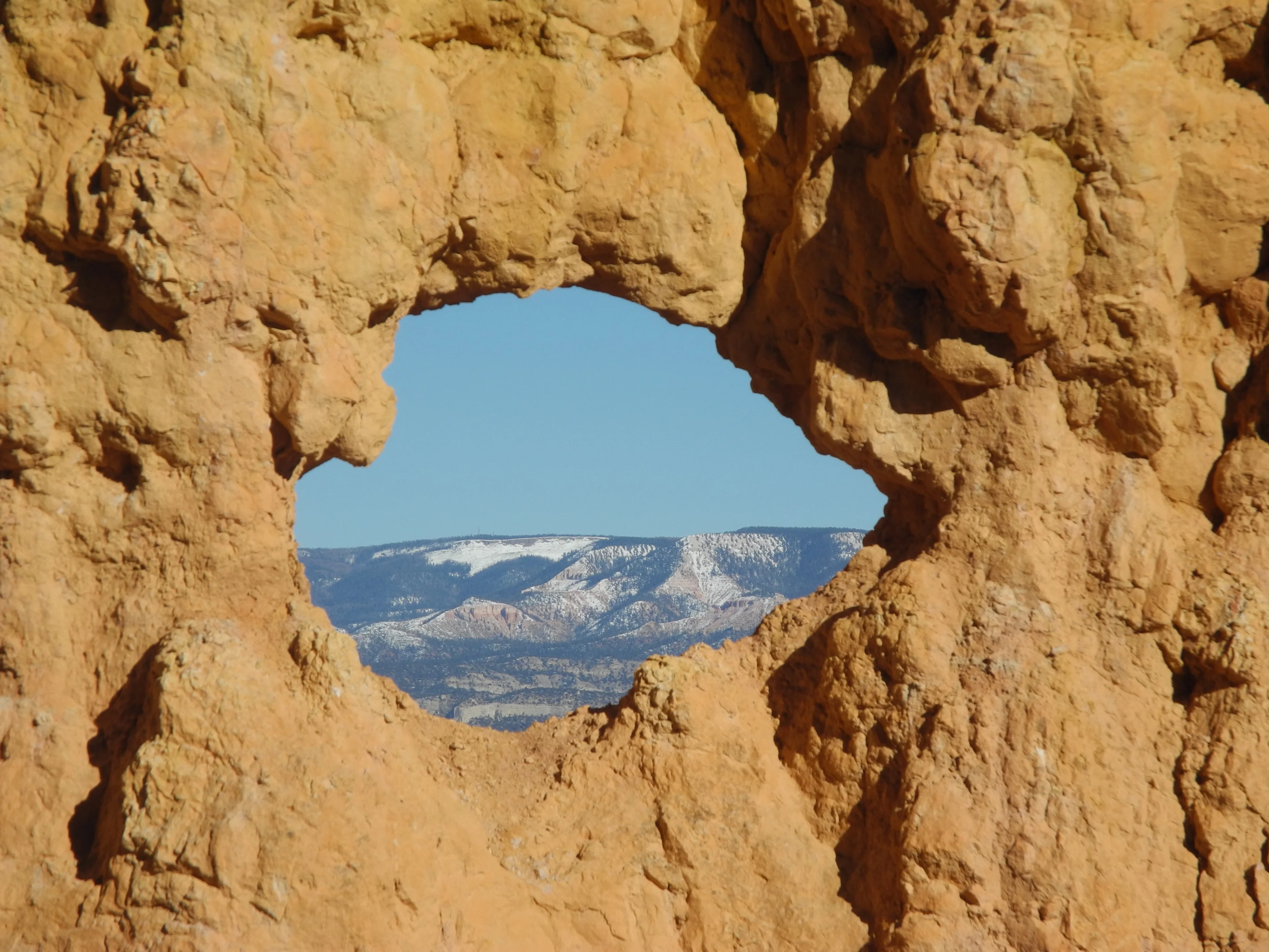 An eye on the world