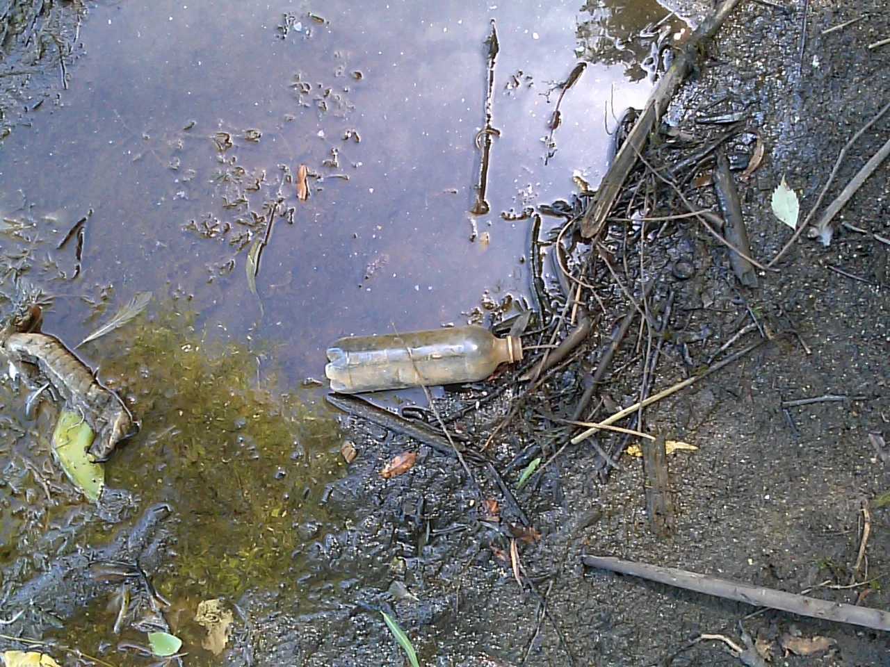 Oil + Plastic