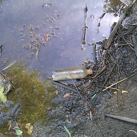 Oil + Plastic