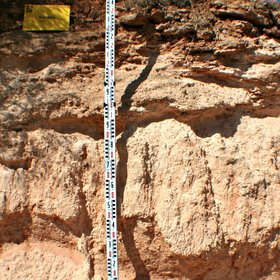 Hypercalcic Petric Calcisol developed on a fossil dune
