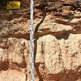 Hypercalcic Petric Calcisol developed on a fossil dune