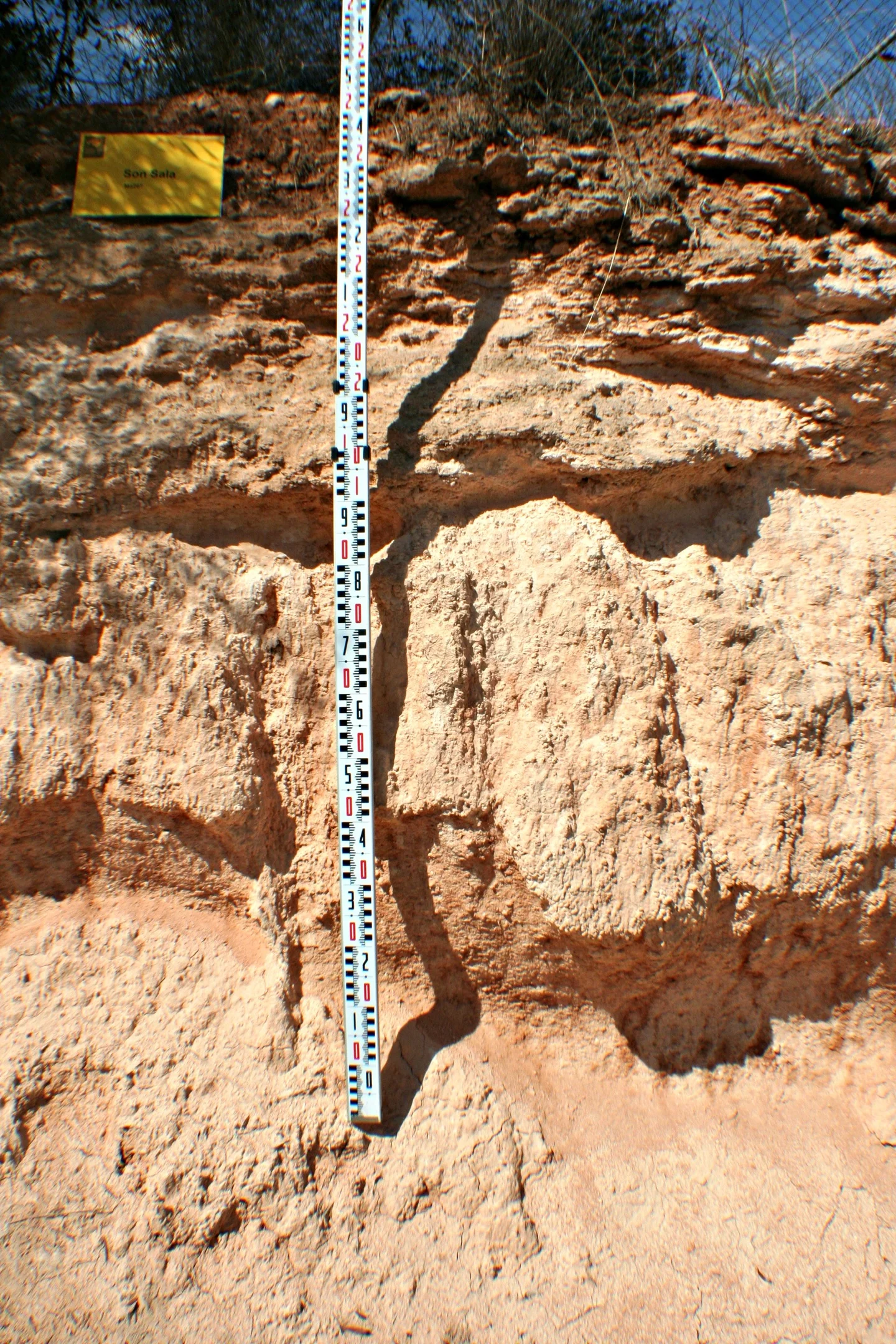 Hypercalcic Petric Calcisol developed on a fossil dune
