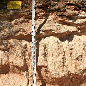 Hypercalcic Petric Calcisol developed on a fossil dune