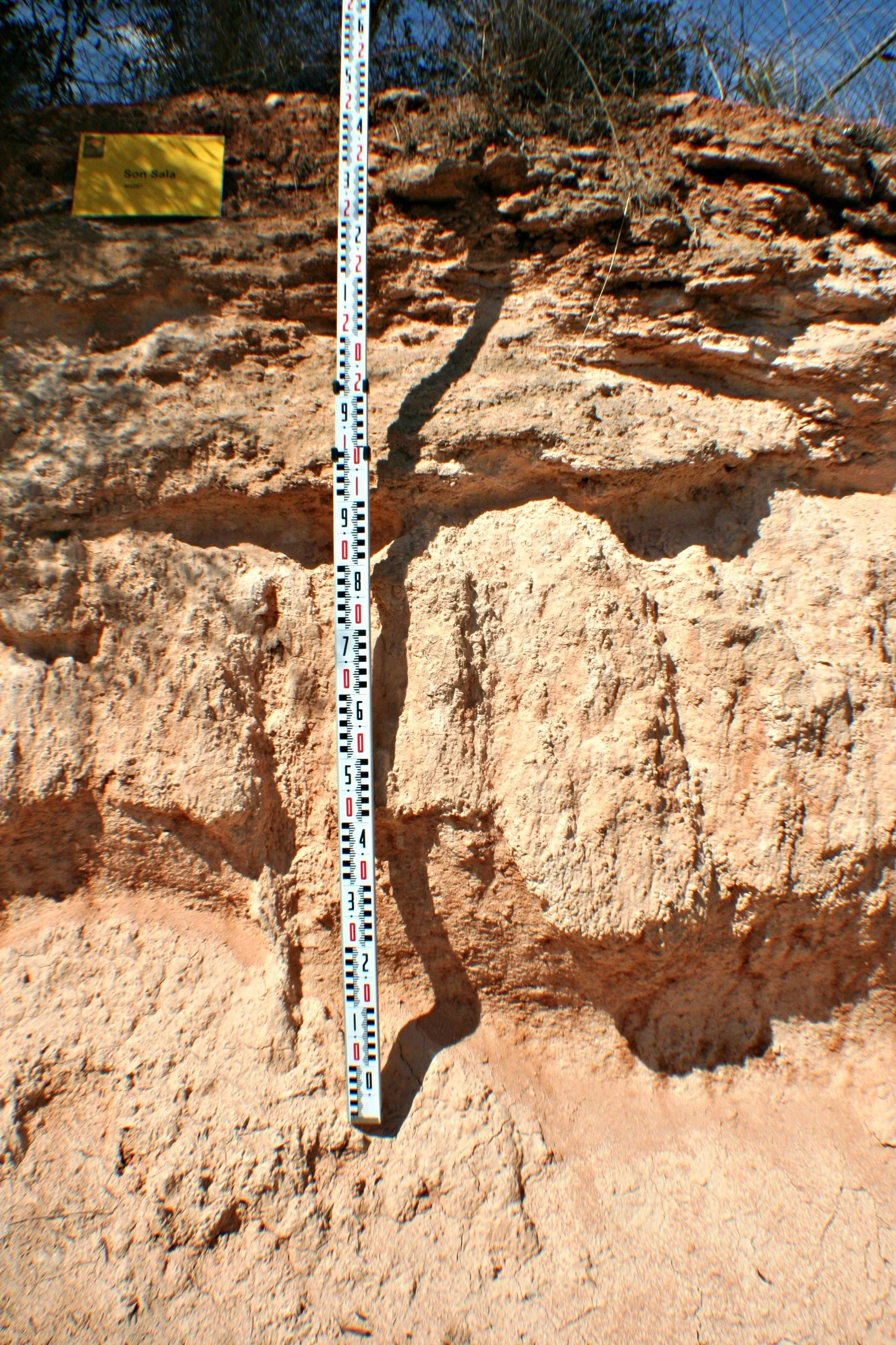 Hypercalcic Petric Calcisol developed on a fossil dune