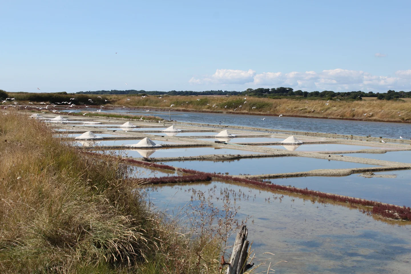Guerande Salt Marshes