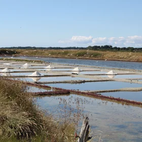 Guerande Salt Marshes