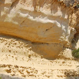 Miocene Yellow Silt Loam