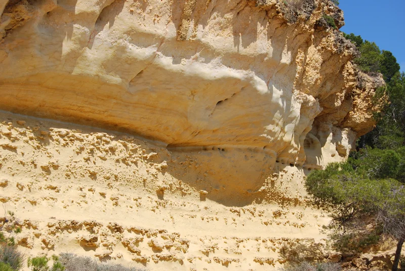 Miocene Yellow Silt Loam