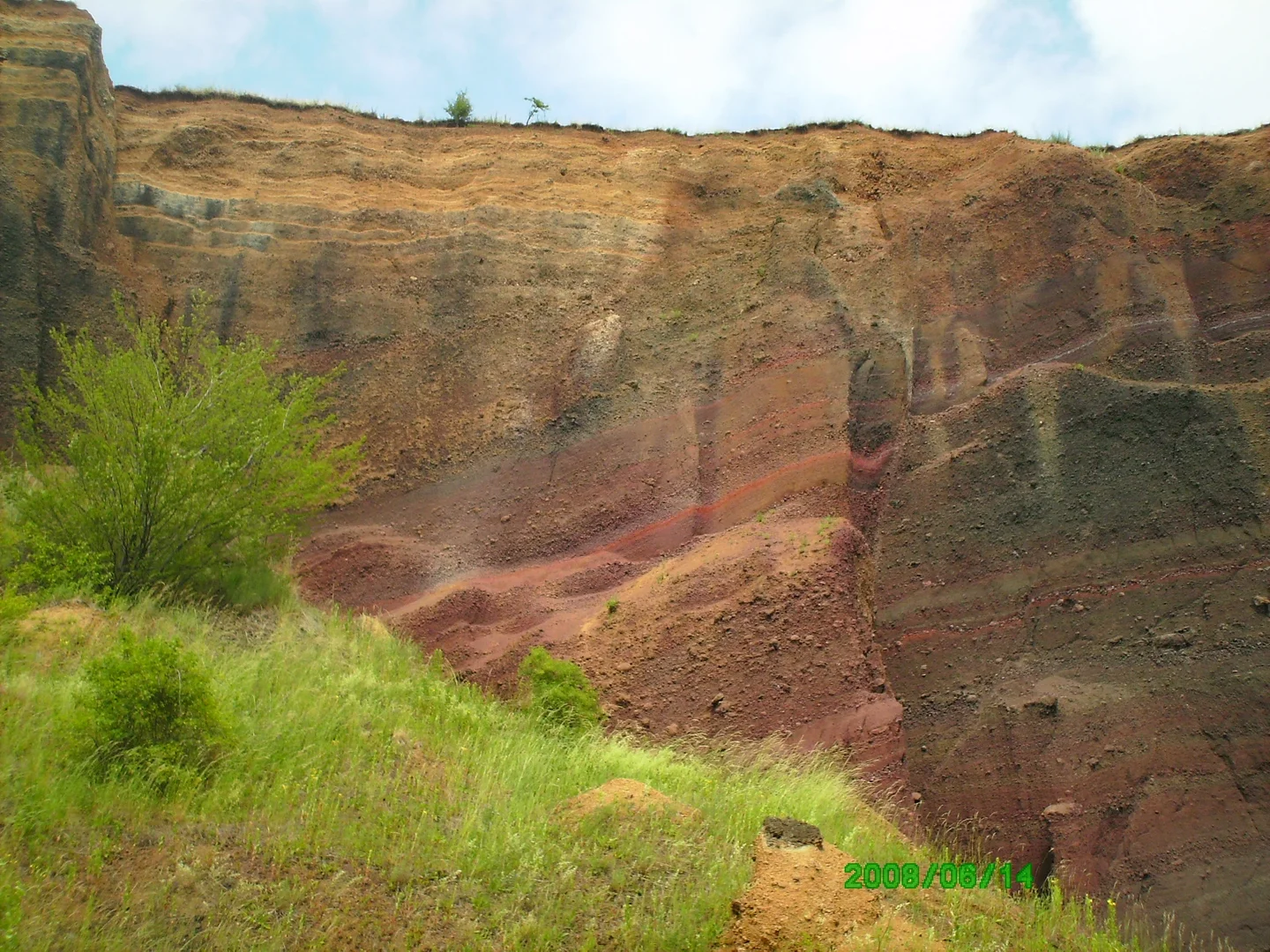  Colors of Racos