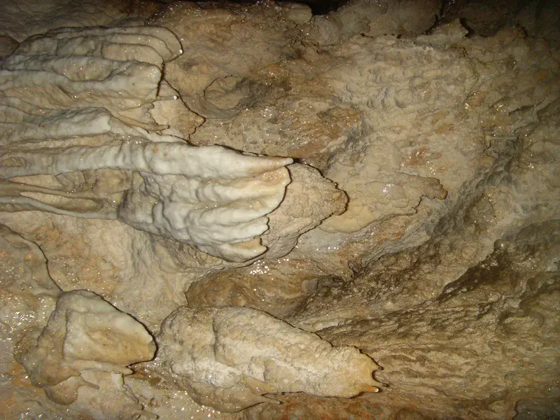 The claw, Lazaru Cave, Romania