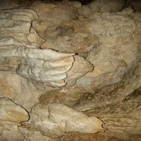 The claw, Lazaru Cave, Romania