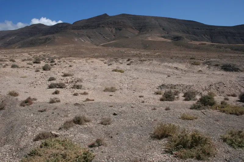 Desert landscape in the Canary Islands