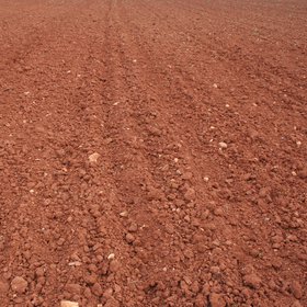 Cropped red soils in SW Spain
