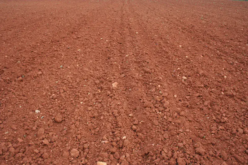 Cropped red soils in SW Spain