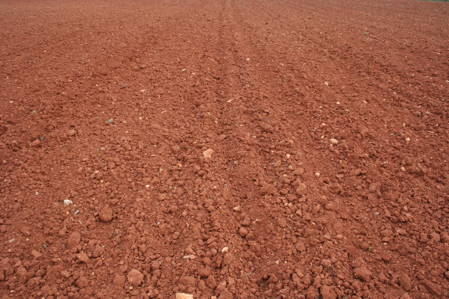 Cropped red soils in SW Spain
