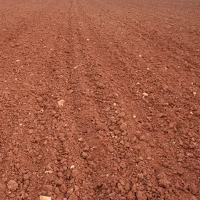 Cropped red soils in SW Spain