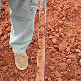 Red soil profile extracted with an auger