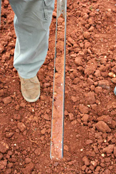 Red soil profile extracted with an auger